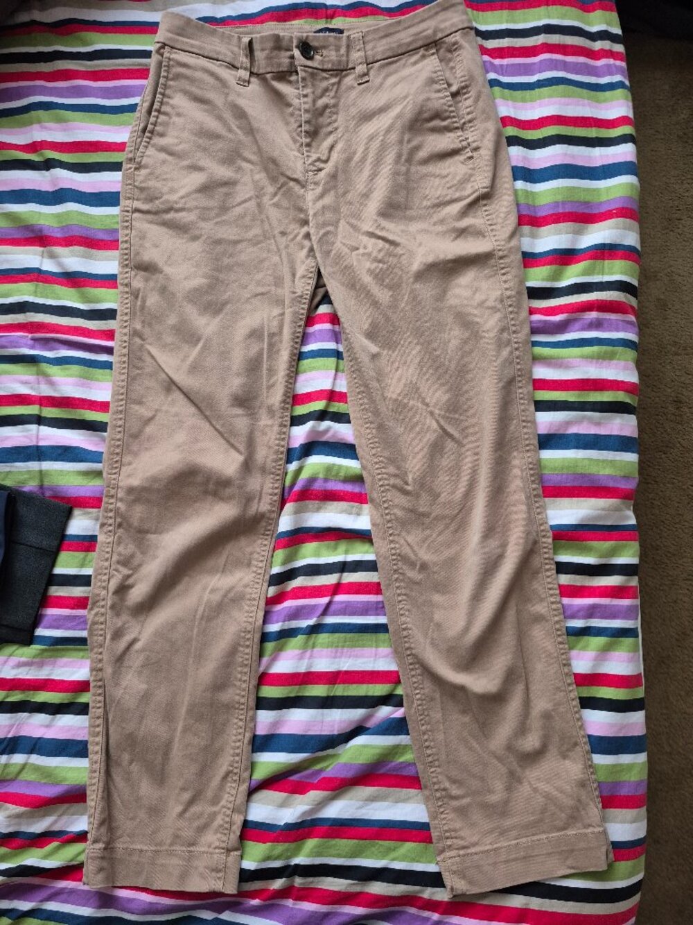 J.crew cargo pants